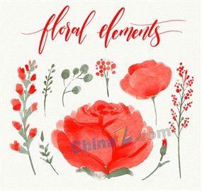 水彩绘红色玫瑰花卉和树叶矢量